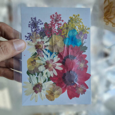 Pressed Flowers
