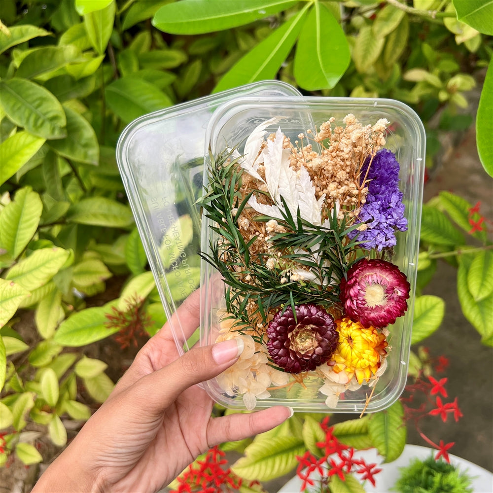 Dried Flower Boxes