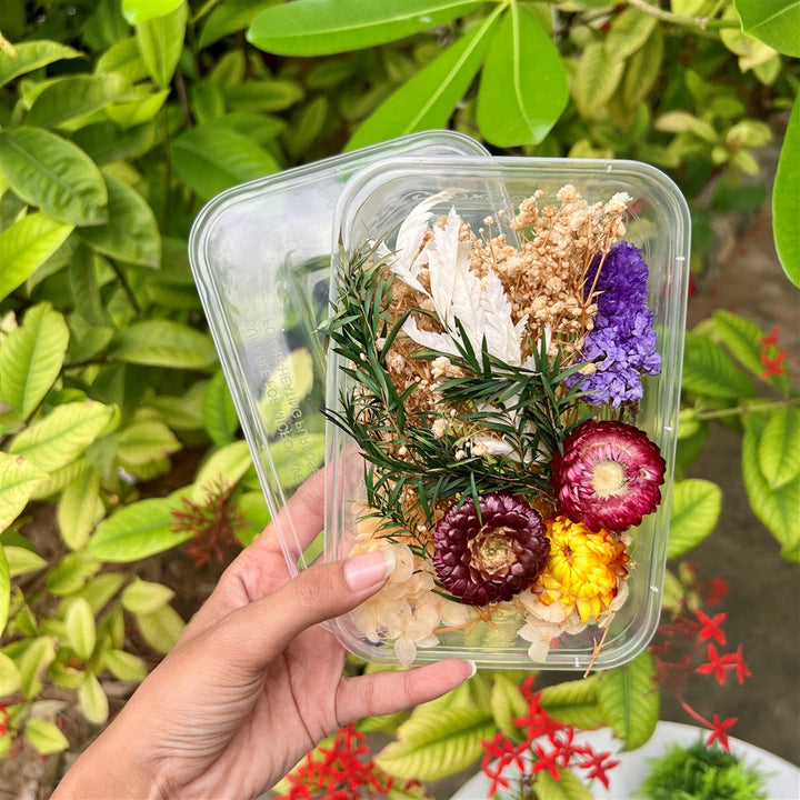 Dried Flower Boxes