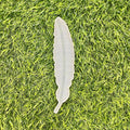 6 Inch Feather Silicone Mould - 15x3cm - 3mm Depth