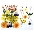 Golden Bloom Mix Pressed Flowers for Resin Art