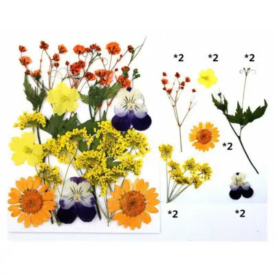 Golden Bloom Mix Pressed Flowers for Resin Art