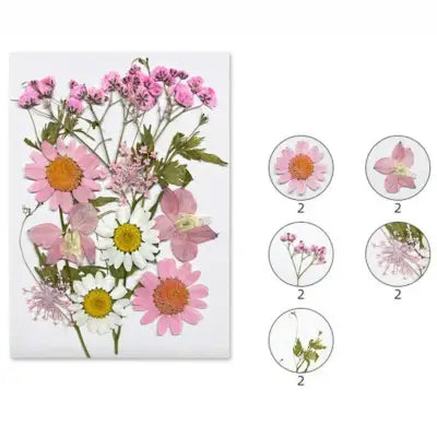 Rosette Dreams Mix Pressed Flowers for Resin Art