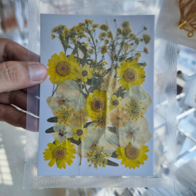 Summer Glow Mix Pressed Flowers for Resin Art