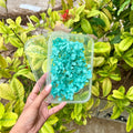 Tiffany Dream Hydrangea Flower Box